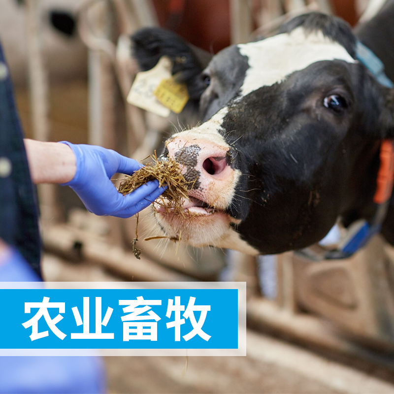 原子吸收分光光度計(jì)測定飼料中鎳元素
